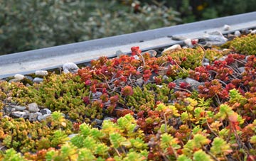 the cost of East Hanney green roof installation