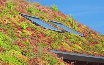 East Hanney living roof systems