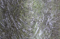 East Hanney fibreglass roof work